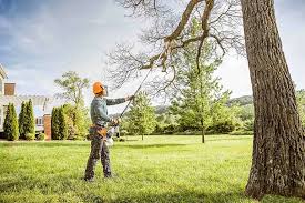 Reliable Ortonville, MN Tree Removal and Landscaping Services Solutions